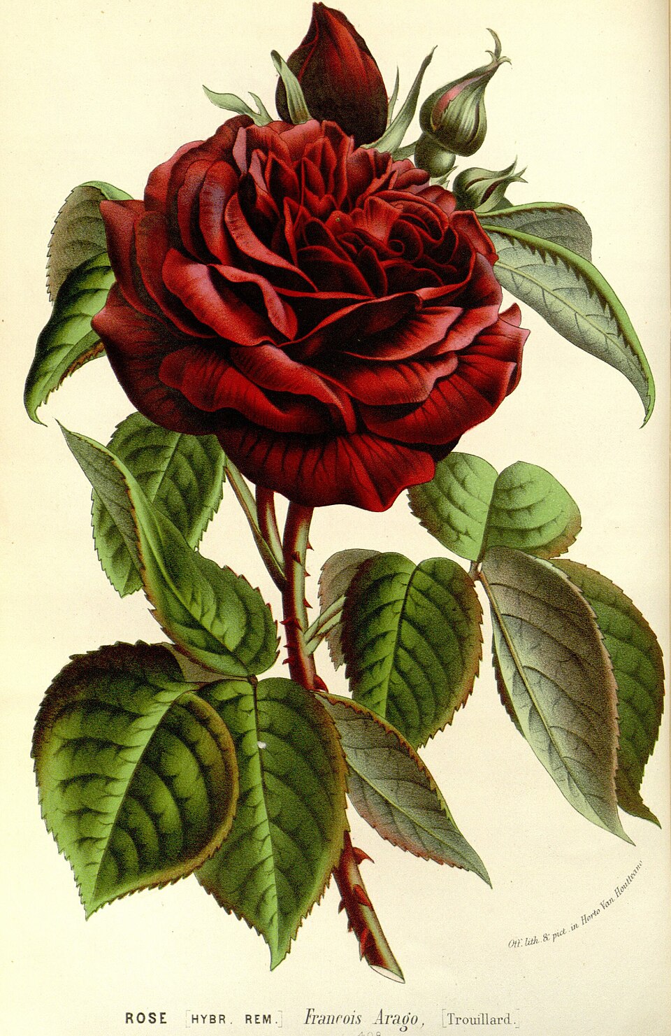 François Arago