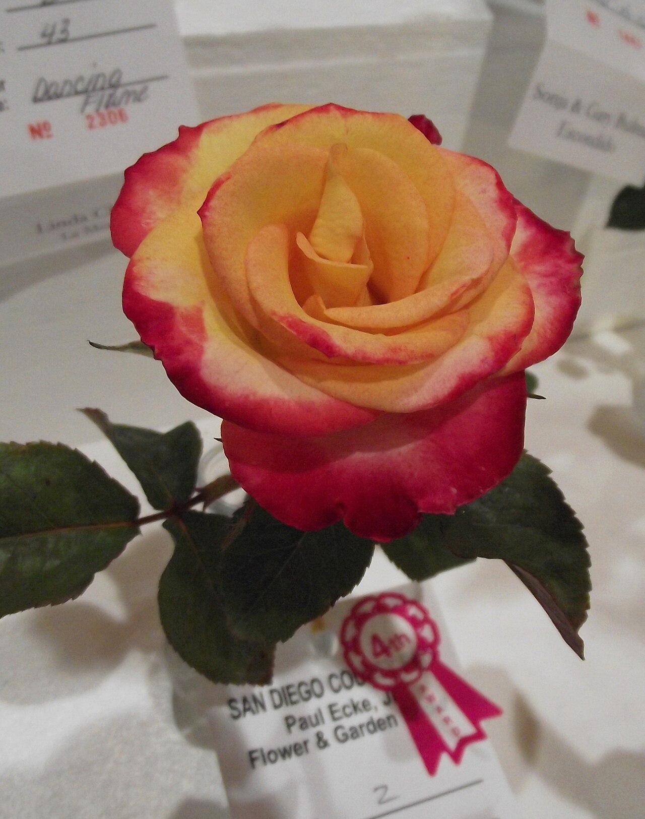 Conundrum