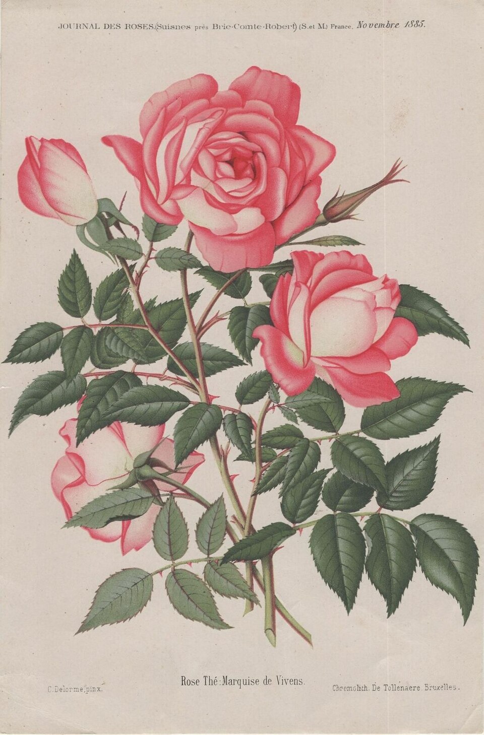 Marquise de Vivens