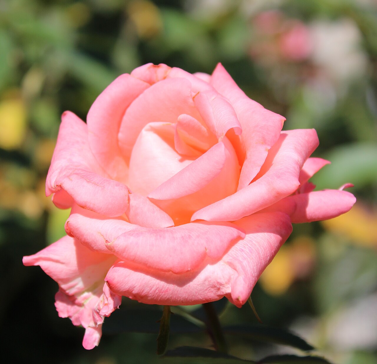 Jardins de France