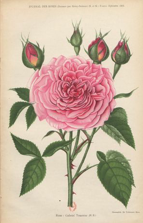 Gabriel Tournier