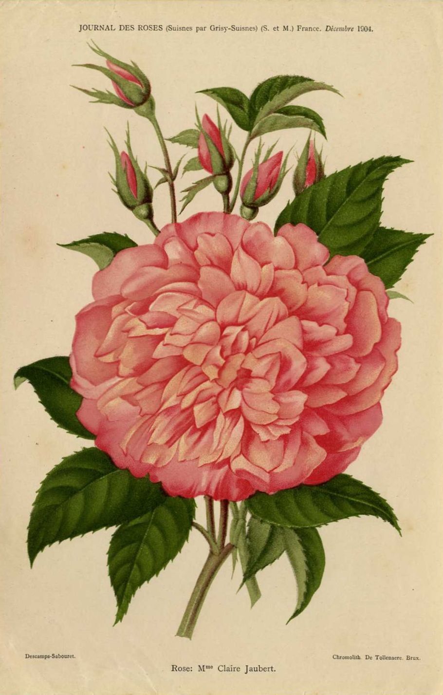Madame Claire Jaubert