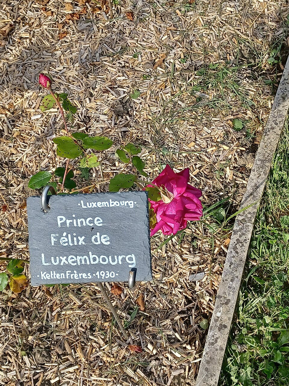 Prince Félix de Luxembourg