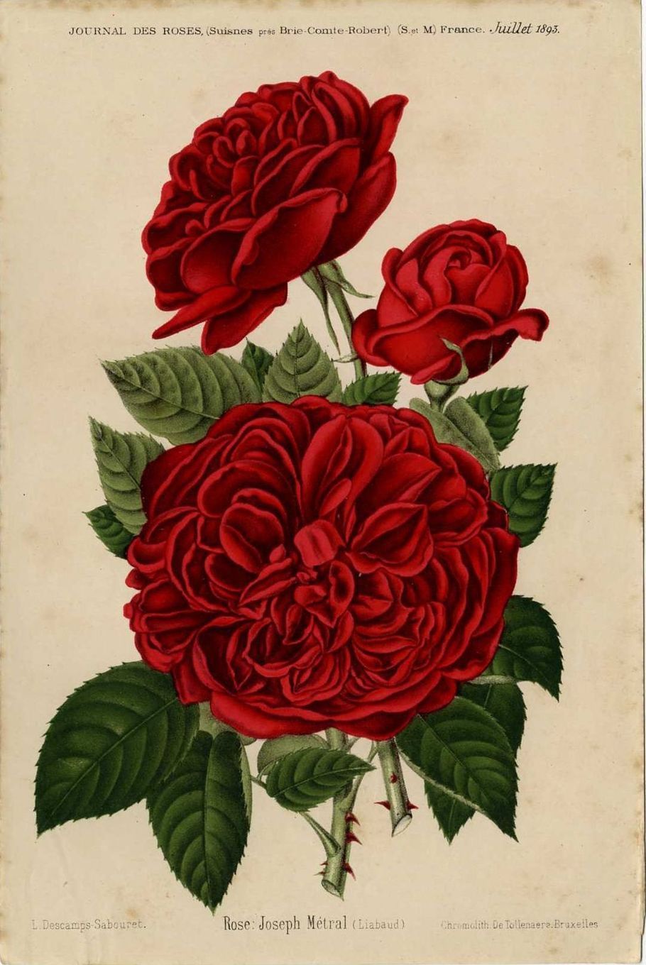 Joseph Métral