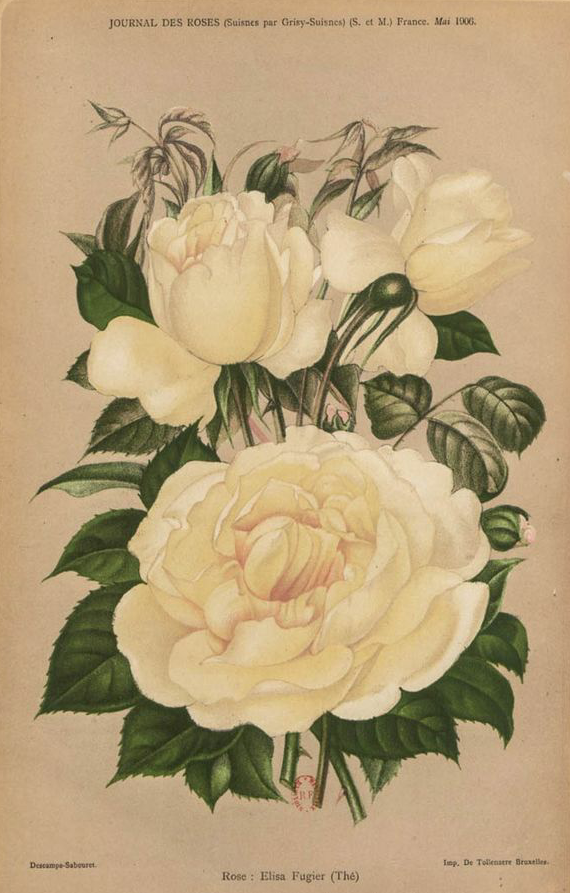 Elisa Fugier