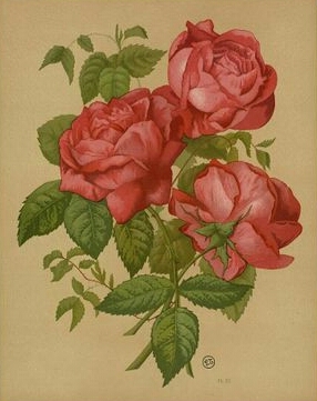 François Michelon