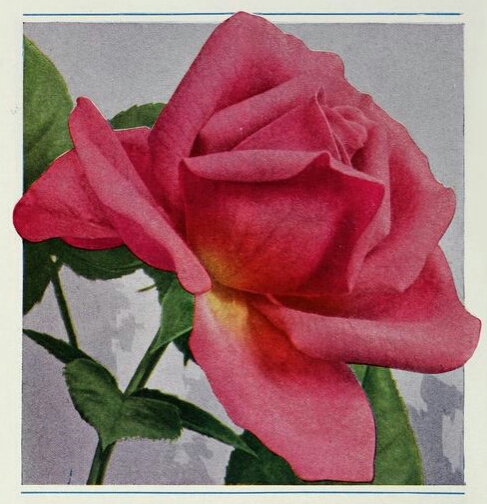 Souvenir de Georges Pernet
