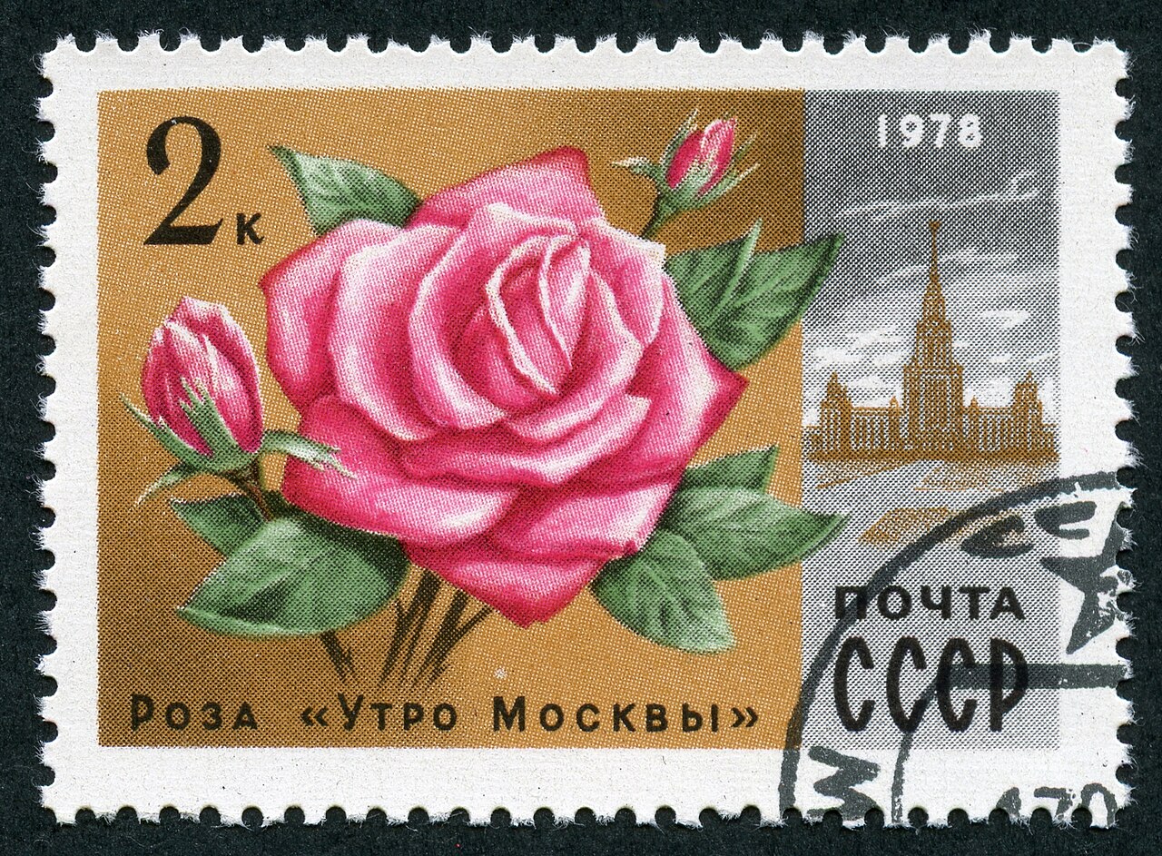 Utro Moskvy