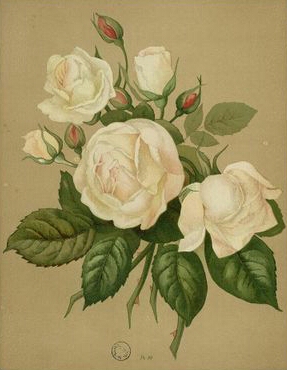 Mélanie Willermoz