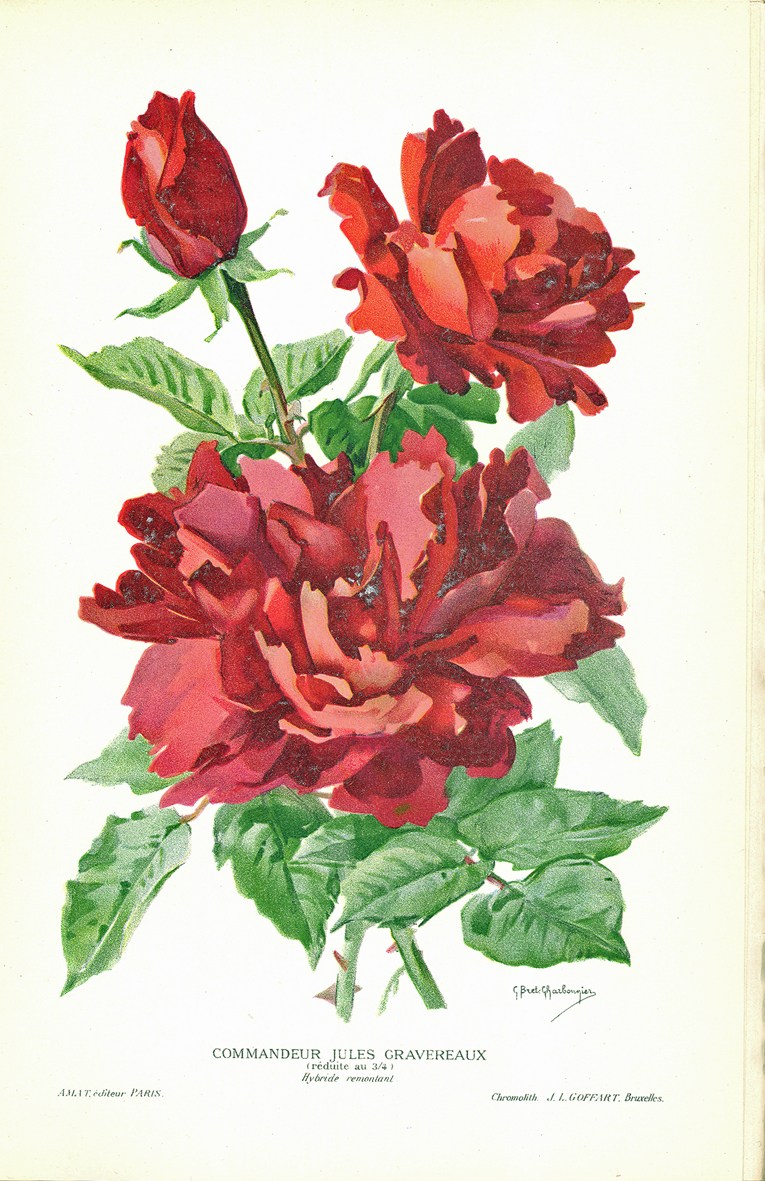 Commandeur Jules Gravereaux