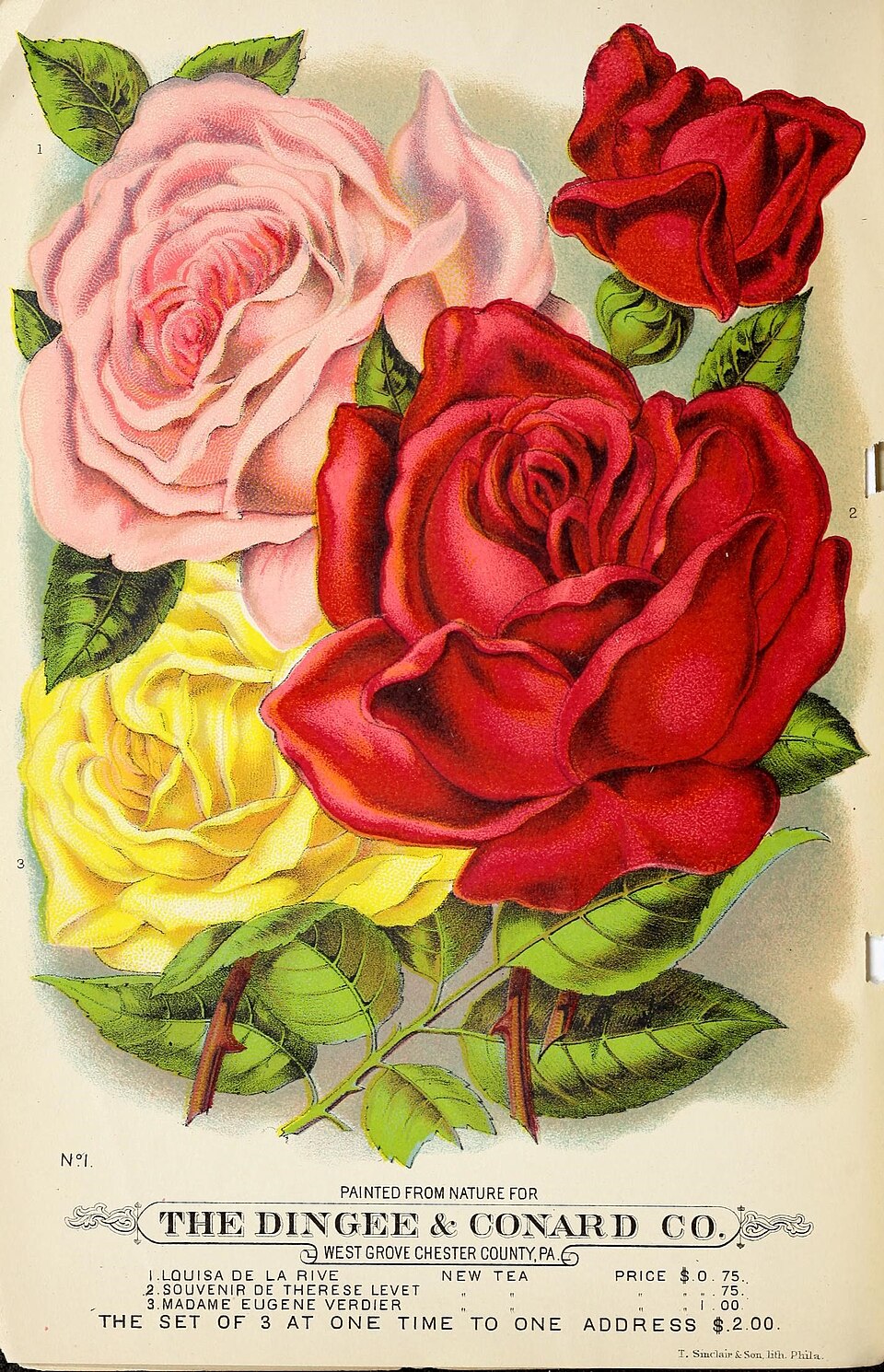 Souvenir de Thérèse Levet