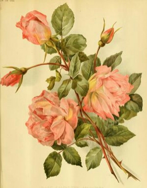 Madame Laurette Messimy