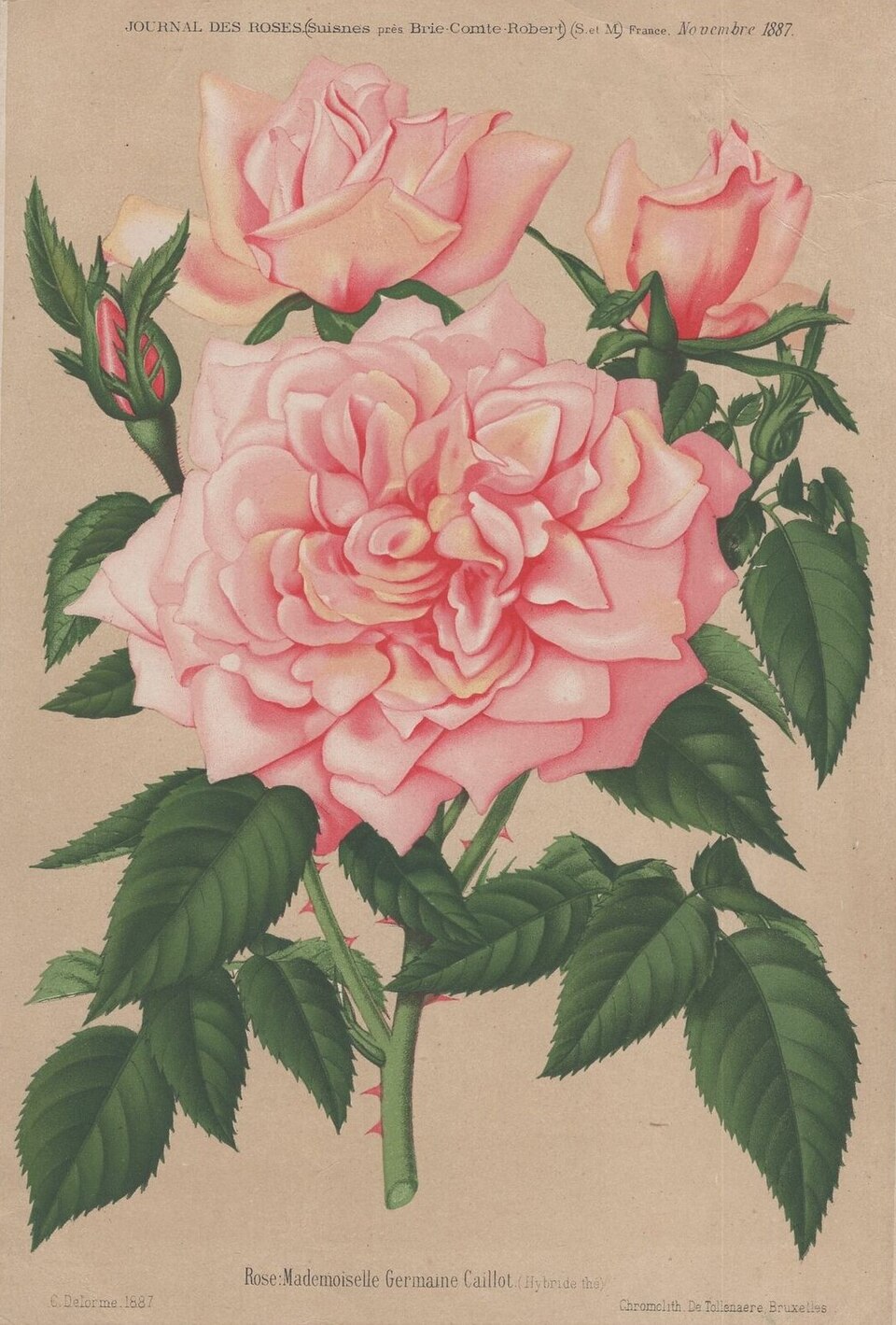 Mademoiselle Germaine Caillot