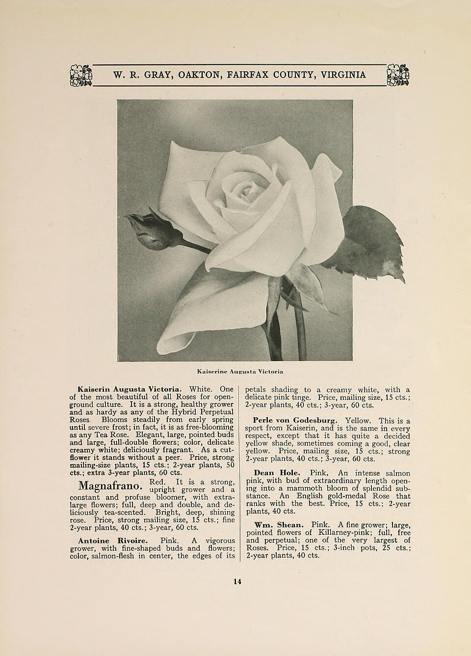 Kaiserin Auguste Viktoria
