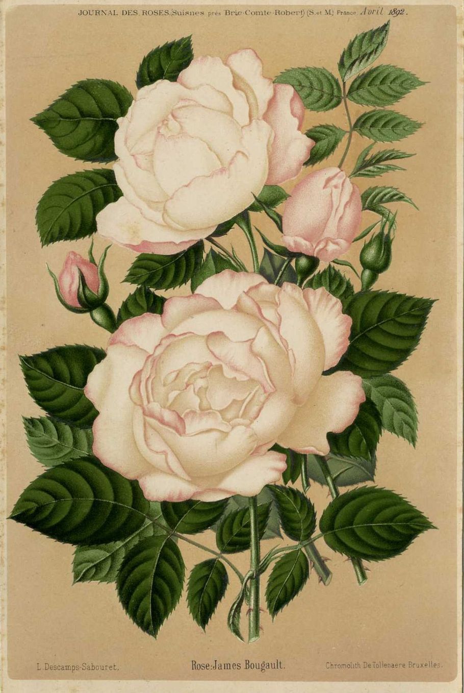 James Bougault