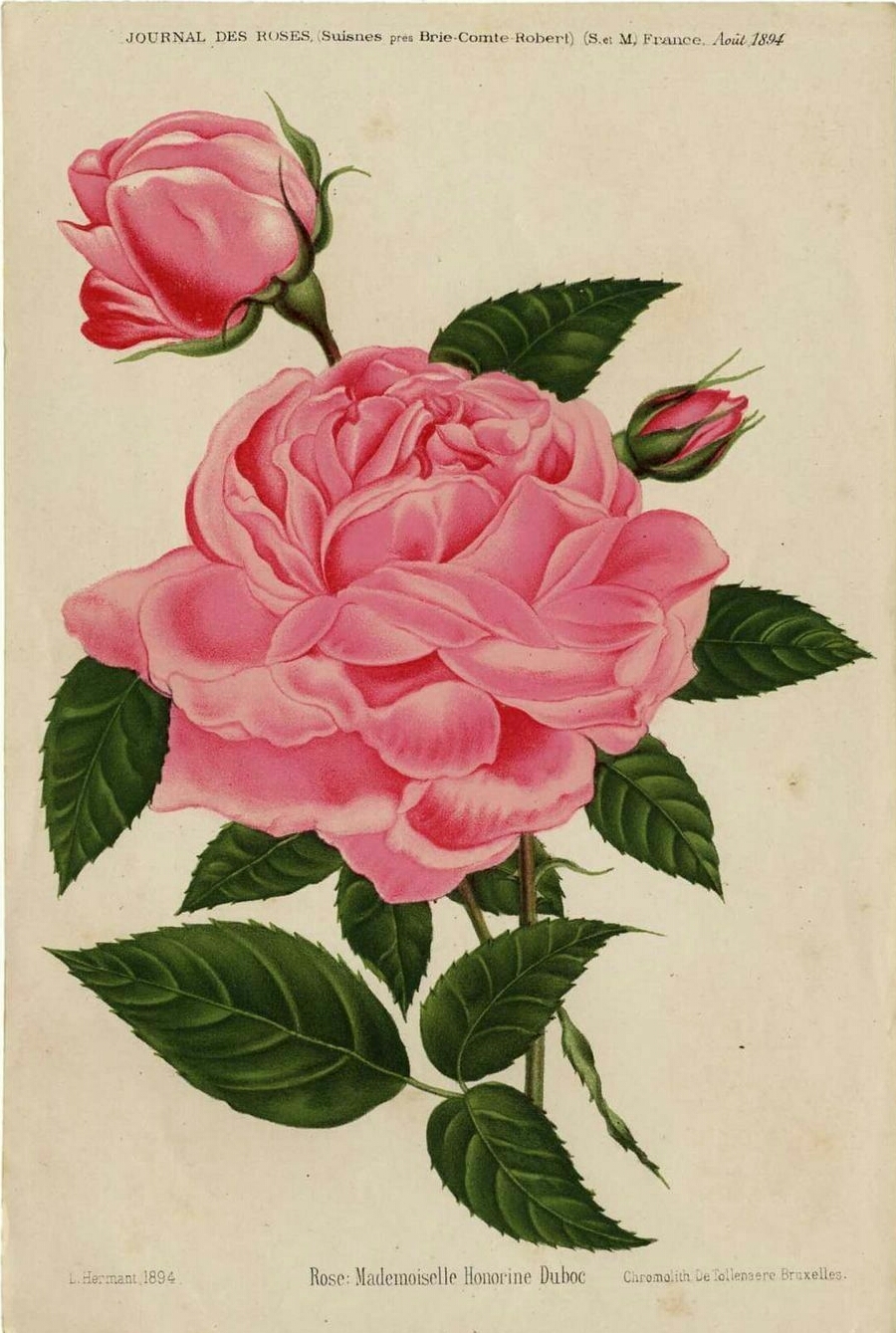 Mademoiselle Honorine Duboc