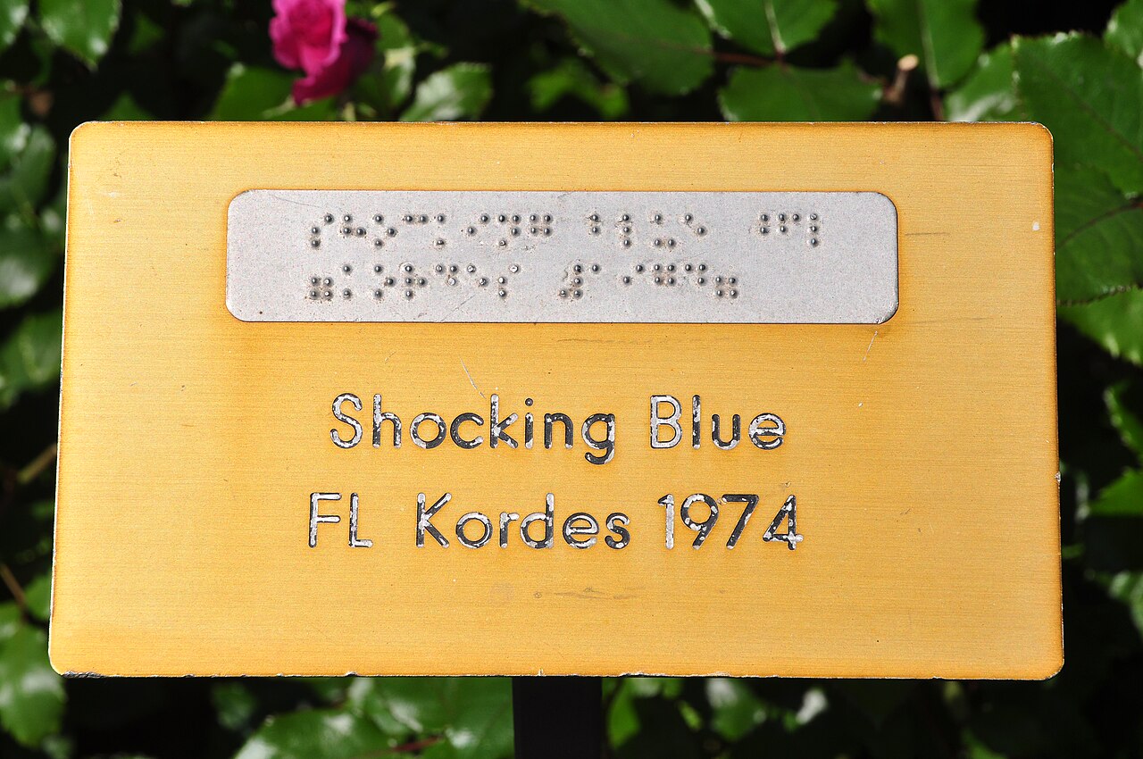 Shocking Blue