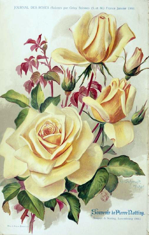 Souvenir de Pierre Notting