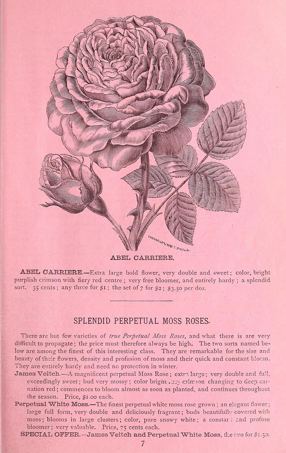 Abel Carrière