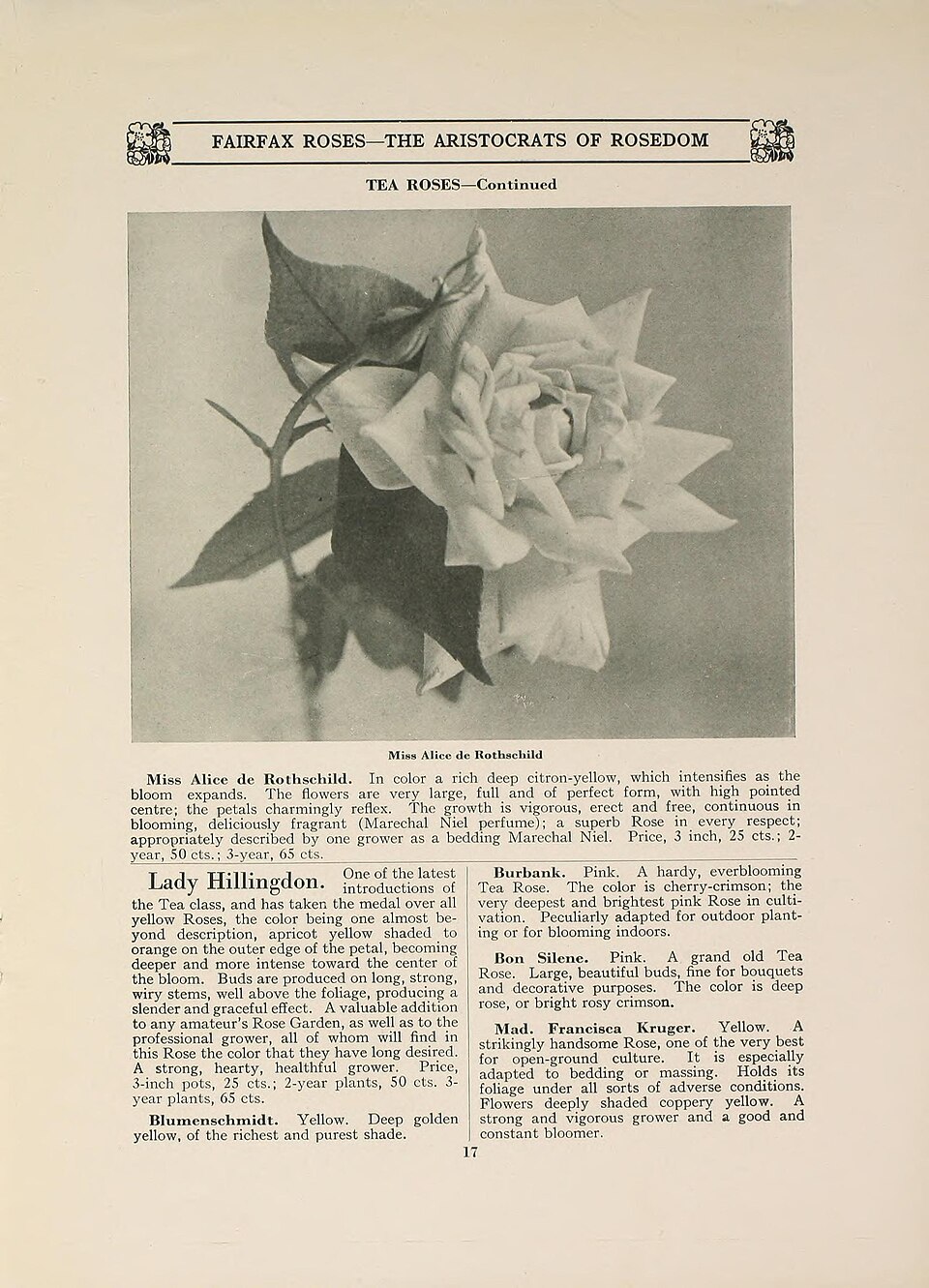 Miss Alice de Rothschild