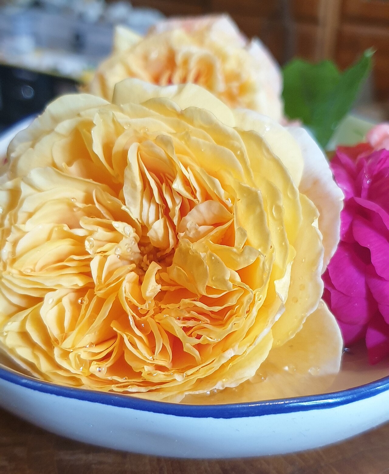 Crown Princess Margareta