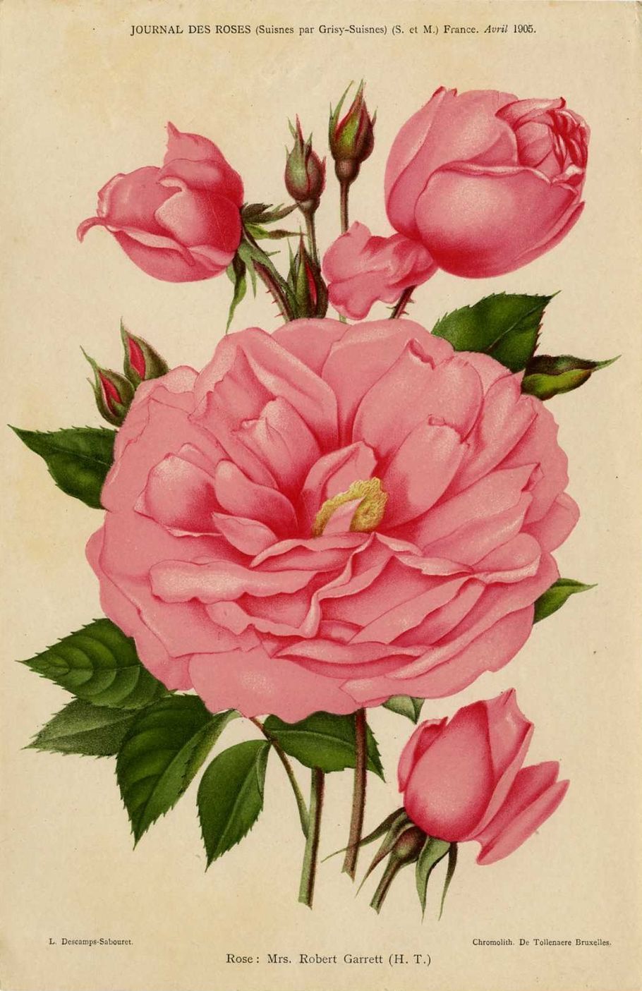Mrs. Robert Garrett