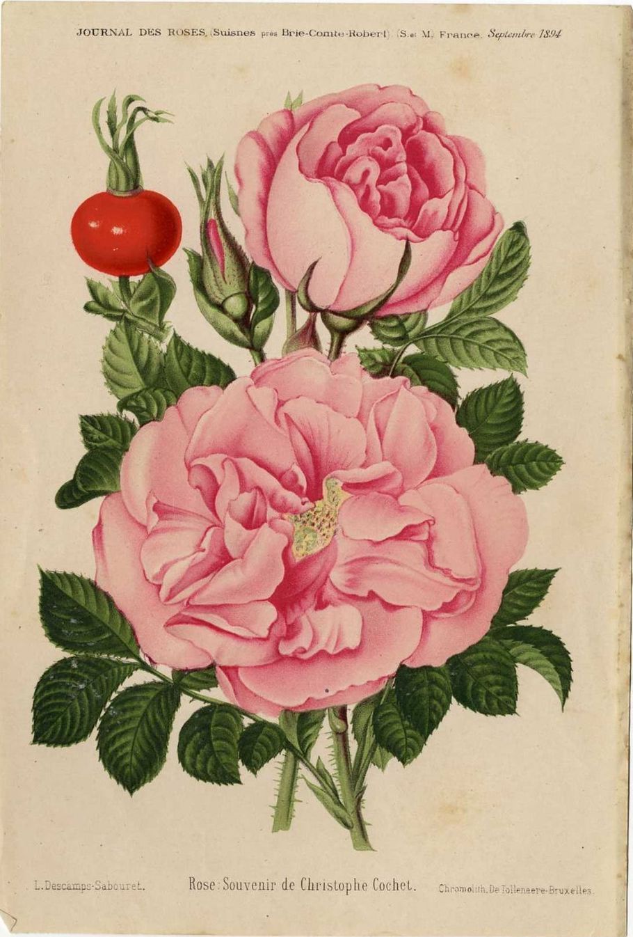 Souvenir de Christophe Cochet