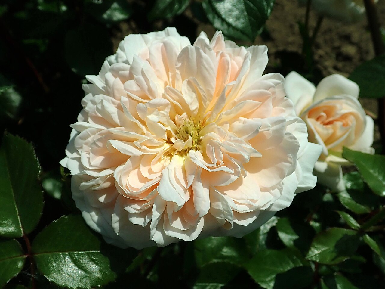 Jardins de l'Essonne