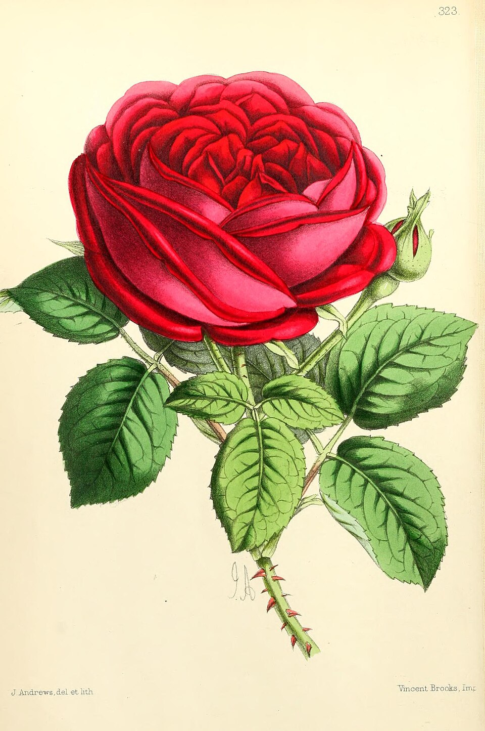 Napoléon III