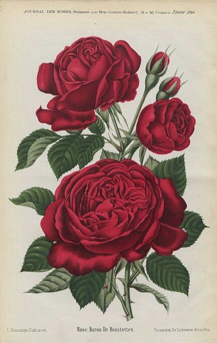 Baron de Bonstetten