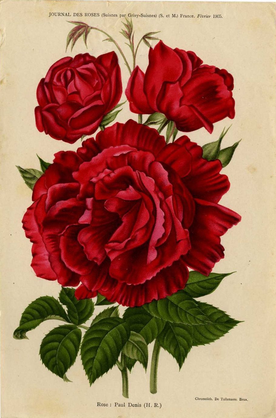 Paul Denis
