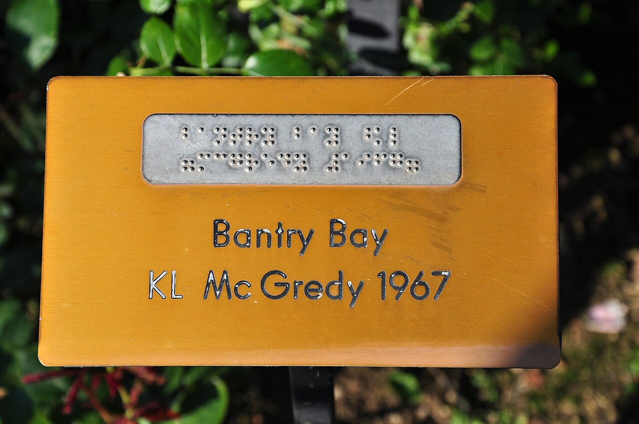 Bantry Bay