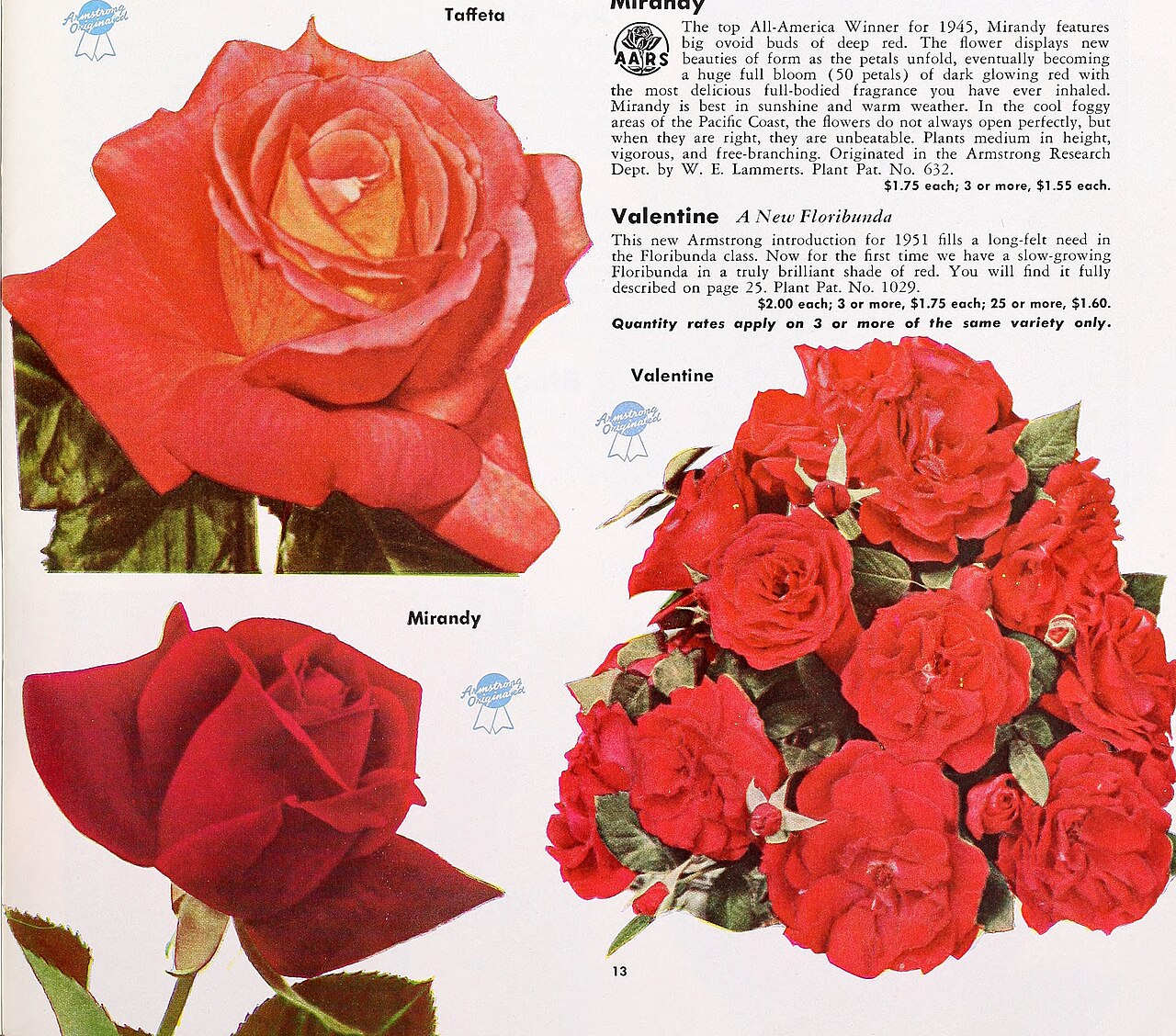 Valentine