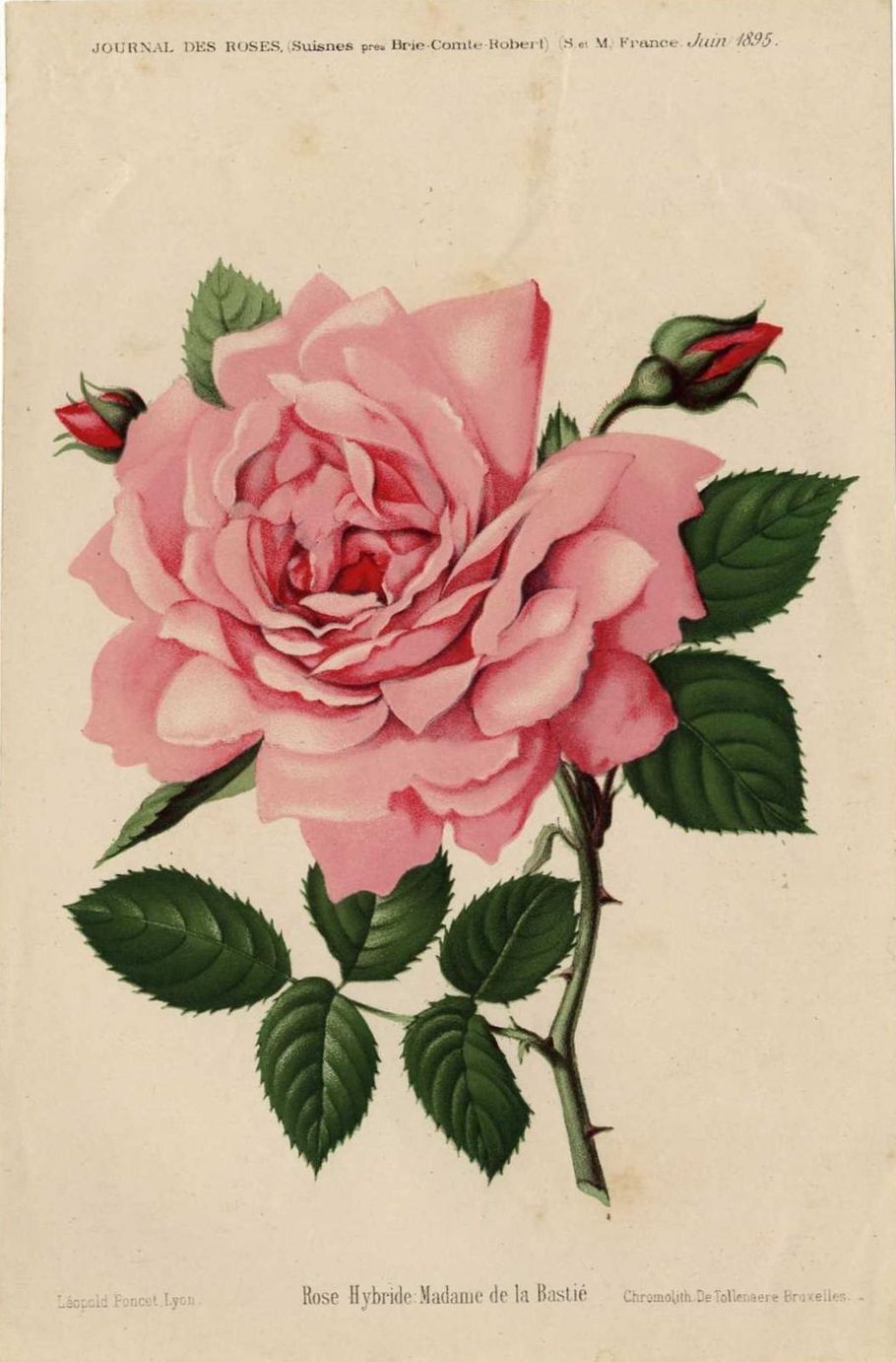 Madame de la Bastie